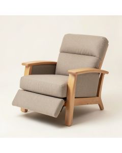 Leni 33.5 '' Wide Manual Standard Recliner (synthetic illustration; no displayed measurements)
