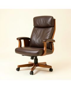 High Back Home Office Ergonomic Executive Chair (synthetic illustration; no displayed measurements)