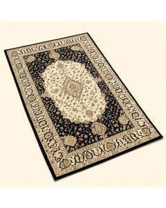 Indira Oriental Black/Ivory Area Rug (synthetic illustration; no displayed measurements)