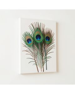 Peacock Feather - 3 Piece Graphic Art On Wrapped Canvas Set (synthetic illustration; no displayed measurements)