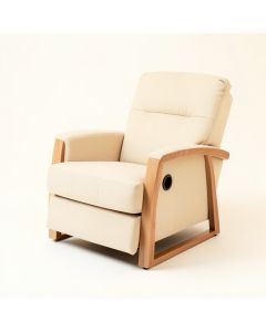 Rumford 32.3 '' Wide Power Lift Assist Standard Recliner (synthetic illustration; no displayed measurements)