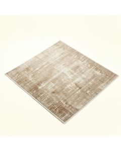 Seldovia Ombre Beige Area Rug (synthetic illustration; no displayed measurements)