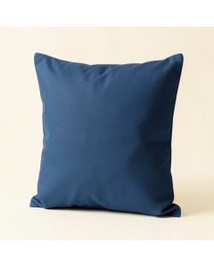 Raw Coast Pineapple Square Pillow (synthetic illustration; no displayed measurements)
