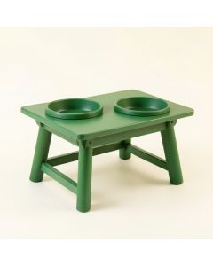 Sage Canyon Pet Feeding Stand With Two Plain Empty Bowls - Green (synthetic illustration; no displayed measurements)