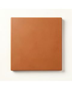 Spruce Crossing Uninstalled Square Decorative Tile - Terracotta (synthetic illustration; no displayed measurements)