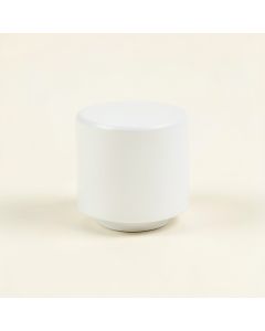 Elm Crossing Cabinet Knob Without Packaging - White (synthetic illustration; no displayed measurements)