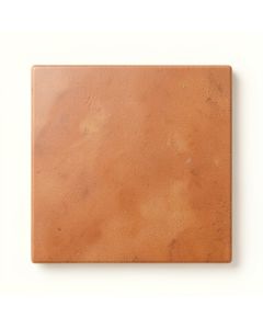Flint Branch Uninstalled Square Decorative Tile - Terracotta (synthetic illustration; no displayed measurements)