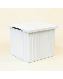 River Arc Closed Outdoor Storage Box - White (synthetic illustration; no displayed measurements)