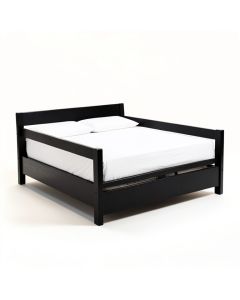 Ayden Daybed With Trundle (synthetic illustration; no displayed measurements)