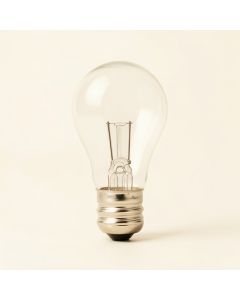 60 Watt B10 Xenon/Krypton Dimmable Light Bulb , ( 2700K ) E12/Candelabra Base (synthetic illustration; no displayed measurements)
