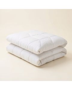 Danniella Textured Comforter Set (synthetic illustration; no displayed measurements)