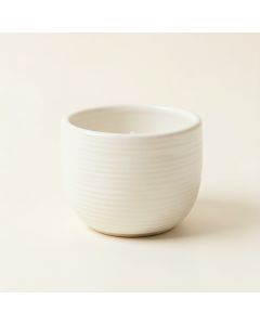Olive Brook Empty Candle Holder - White (synthetic illustration; no displayed measurements)