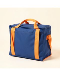 Freezable Lunch Bag (synthetic illustration; no displayed measurements)