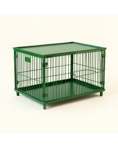 Summit Crossing Empty Furniture-Style Pet Crate - Green (synthetic illustration; no displayed measurements)