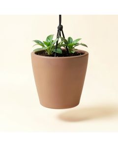 Pollyanna Self-Watering Resin Hanging Planter (synthetic illustration; no displayed measurements)