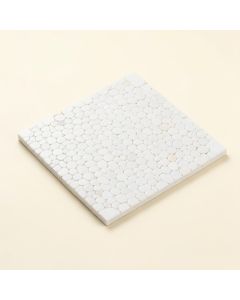 Arctic 1 '' X 2 '' Seashell Mosaic Tile In White (synthetic illustration; no displayed measurements)