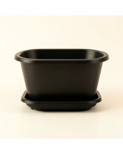 Briar Arc Empty Raised Planter (synthetic illustration; no displayed measurements)