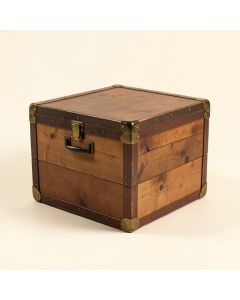 Newton Coffee Table With Storage (synthetic illustration; no displayed measurements)
