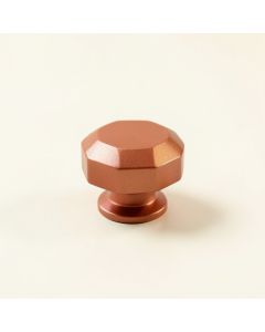 Ash Brook Cabinet Knob Without Packaging - Terracotta (synthetic illustration; no displayed measurements)