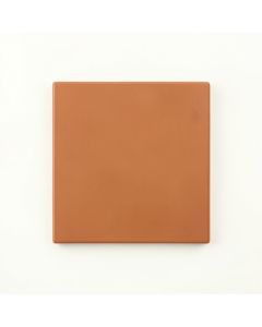 Moss Crossing Uninstalled Square Decorative Tile - Terracotta (synthetic illustration; no displayed measurements)