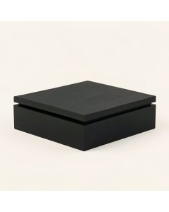 Wren Branch Desktop Monitor Riser - Black (synthetic illustration; no displayed measurements)
