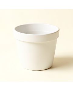 Anycia Self-Watering Plastic Pot Planter (synthetic illustration; no displayed measurements)