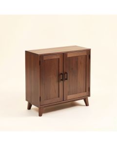 Quinlan 2 Door Accent Cabinet (synthetic illustration; no displayed measurements)
