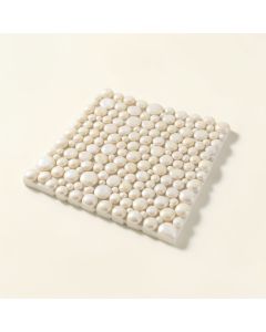 Pacif 0.39 '' X 0.79 '' Seashell Random Mosaic Wall & Floor Tile (synthetic illustration; no displayed measurements)