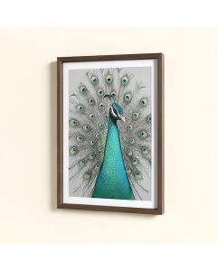 Peacock Framed Graphic Art (synthetic illustration; no displayed measurements)