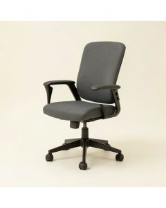 Maston Task Chair (synthetic illustration; no displayed measurements)