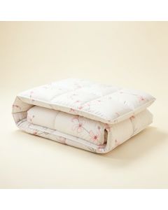 Strausstown Oh Sweetie Single Comforter (synthetic illustration; no displayed measurements)