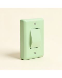 Think Earth Day Conserve Energy Eco-Friendly Light Bulb 1-Gang Toggle Light Switch Wall Plate (synthetic illustration; no displayed measurements)