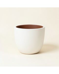 Zurique Resin Pot Planter (synthetic illustration; no displayed measurements)