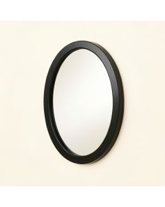 Willow Bluff Framed Wall Mirror - Black (synthetic illustration; no displayed measurements)