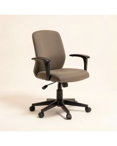 Arissa Task Chair (synthetic illustration; no displayed measurements)
