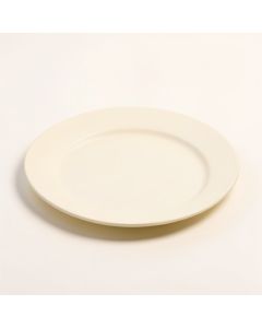 Derell 8.5 '' Melamine Salad Plate (synthetic illustration; no displayed measurements)