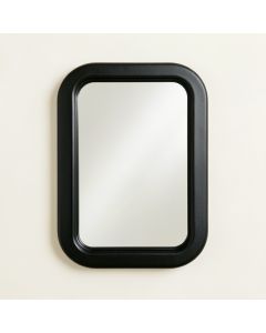 Briar Crossing Framed Wall Mirror - Black (synthetic illustration; no displayed measurements)