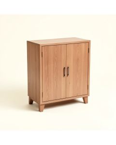 Duffy 2 Door Accent Cabinet (synthetic illustration; no displayed measurements)