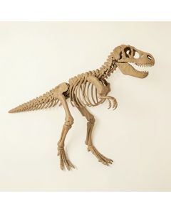 Alvie Dinosaur Skeleton For Boys Room T-Rex Skeleton Wall Decal (synthetic illustration; no displayed measurements)