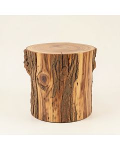 Mader Solid Wood Tree Stump End Table (synthetic illustration; no displayed measurements)