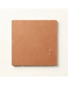 Meadow Bend Uninstalled Square Decorative Tile - Terracotta (synthetic illustration; no displayed measurements)