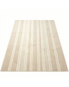 Hazel Canyon Rectangular Area Rug - Beige (synthetic illustration; no displayed measurements)