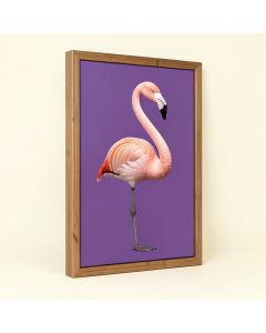 Placido Flamingo - Print On Canvas (synthetic illustration; no displayed measurements)