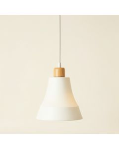 Slate Brook Pendant Light Suspended From One Plain Cable - White (synthetic illustration; no displayed measurements)