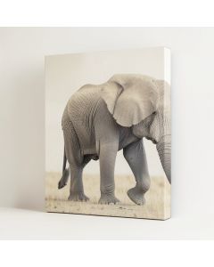 Elephant - Wrapped Canvas Print (synthetic illustration; no displayed measurements)