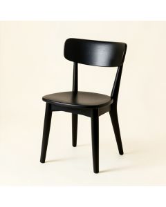 Slate Canyon Dining Chair - Black (synthetic illustration; no displayed measurements)