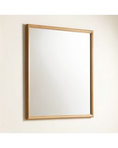 Saylor Wall Mirror (synthetic illustration; no displayed measurements)