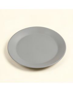 Sighwaldi 9 '' Melamine Salad Plate (synthetic illustration; no displayed measurements)