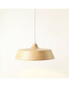 Sage Bend Pendant Light Suspended From One Plain Cable - Beige (synthetic illustration; no displayed measurements)
