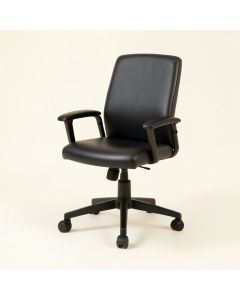 Boylston Task Chair (synthetic illustration; no displayed measurements)